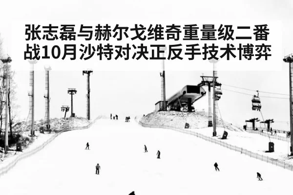 张志磊与赫尔戈维奇重量级二番战10月沙特对决正反手技术博弈