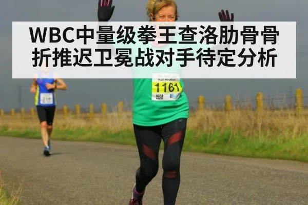 WBC中量级拳王查洛肋骨骨折推迟卫冕战对手待定分析